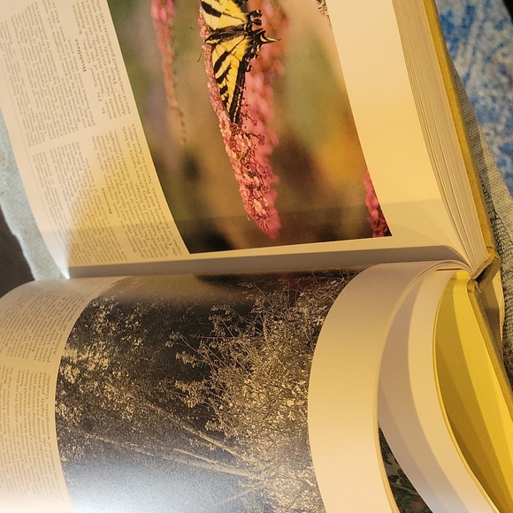 Book,Flower,"Growing Fragrant  Flowers" Lg.Coffee table book.Like NEW - Picture 10 of 16